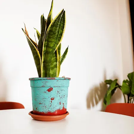 San Martino Bed & Breakfast Roma